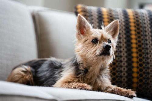 Hyatt House Raleigh North Hills image 20